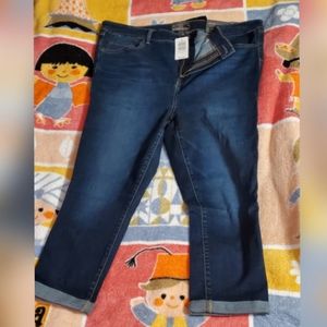 Torrid brand skinny jeans